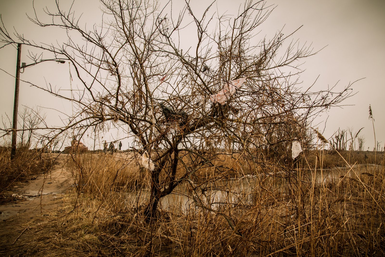 art-of-sandy-mo-staten island 2-61.jpg